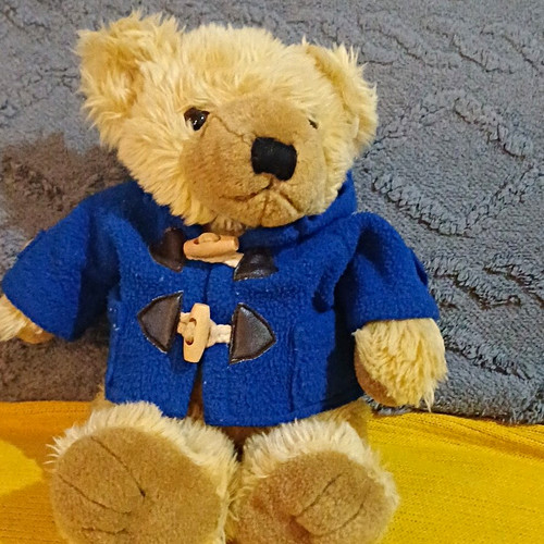 Paddington bear plush teddy - bear,