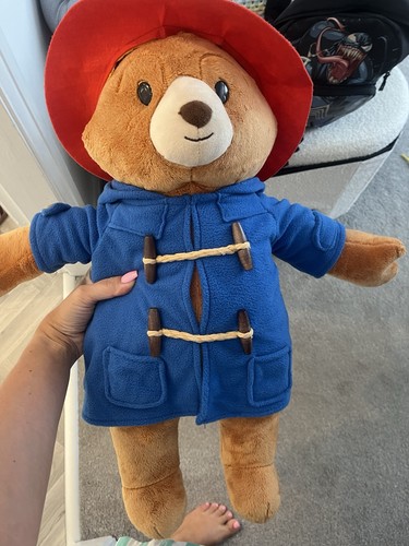 Paddington bear large - large, teddy