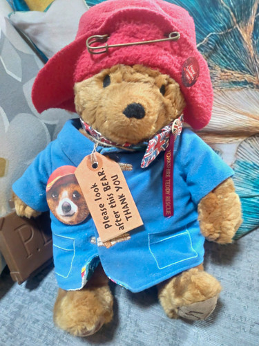 Paddington bear s 50 year - &,