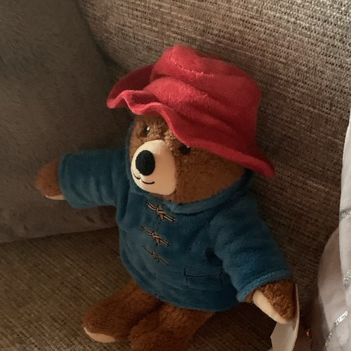 Paddington bear plush teddy - bear,