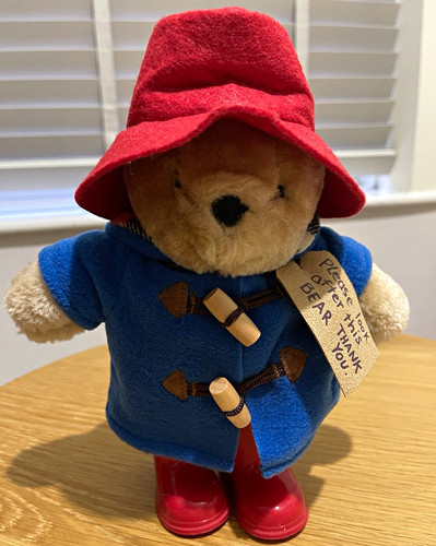 Paddington bear plush - bear,