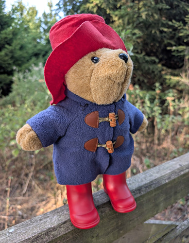 Paddington bear plush - plush,