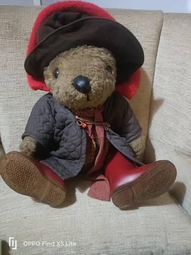 Paddington bear plush - bear,