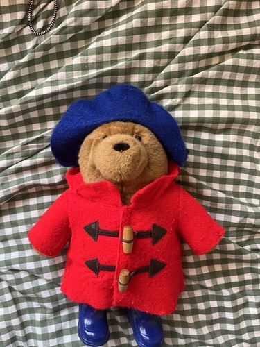 Paddington bear teddy - paddington,