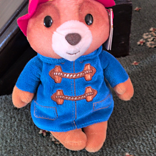 Paddington bear plush teddy - paddington,