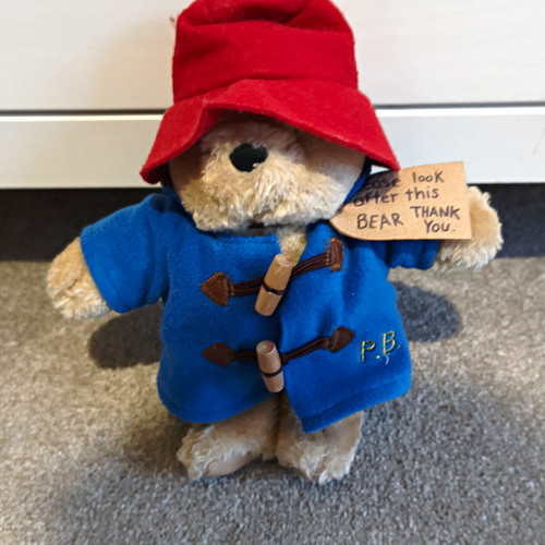 Paddington bear teddy - paddington,