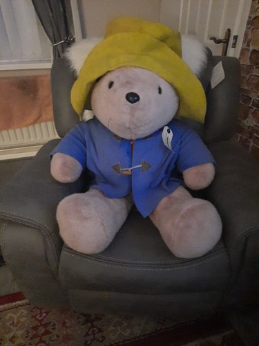Paddington bear teddy - teddy,