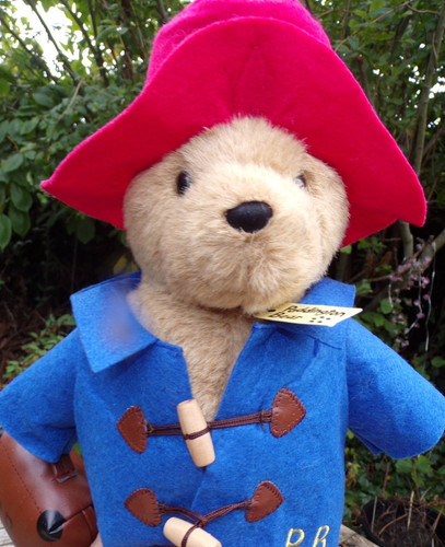 Paddington bear with red - with, hat